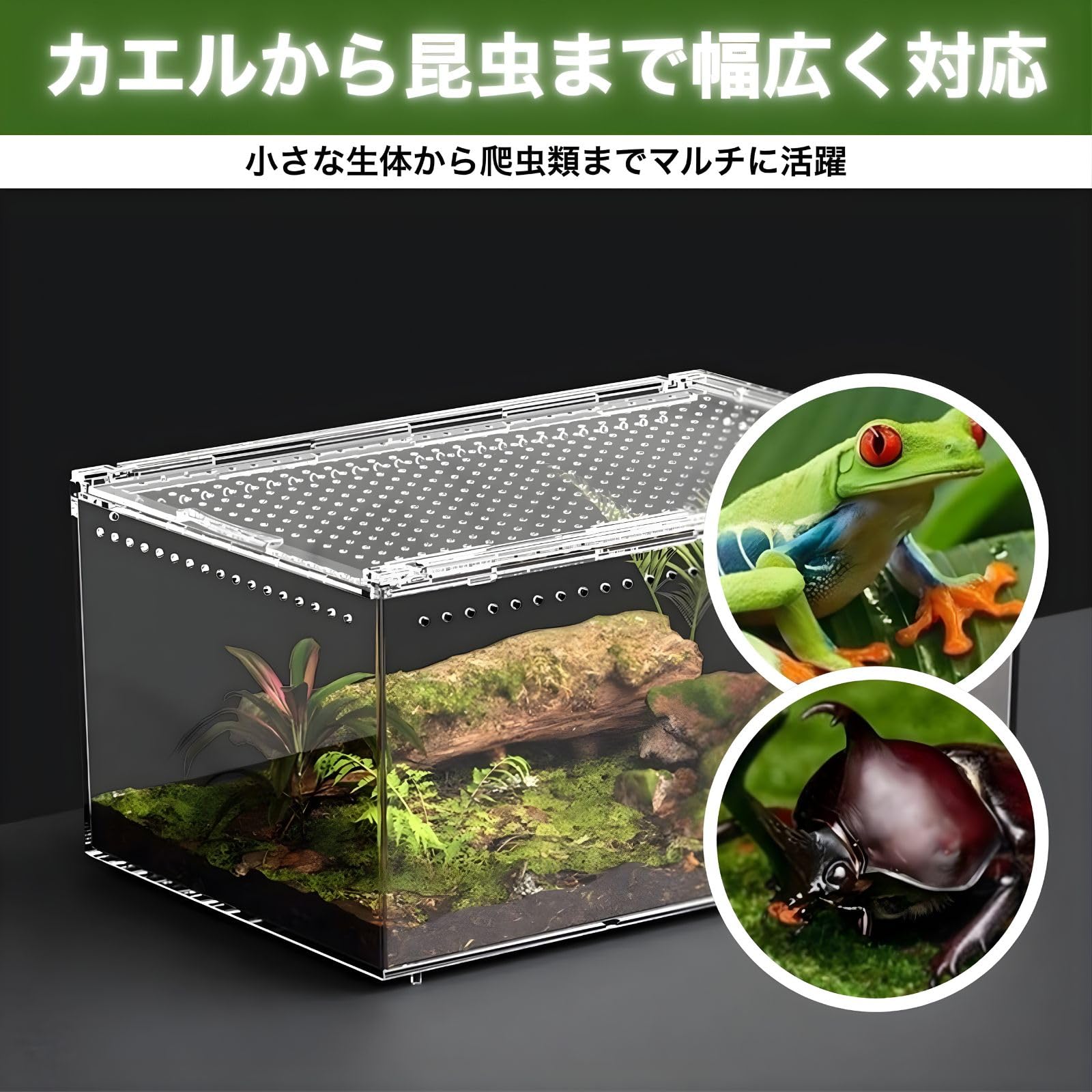 Amazon | SESHIS 爬虫類 ケージ ボックス 飼育 ケース アクリル
